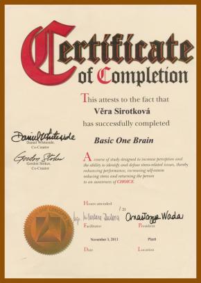 One Brain - Věra Sirotková